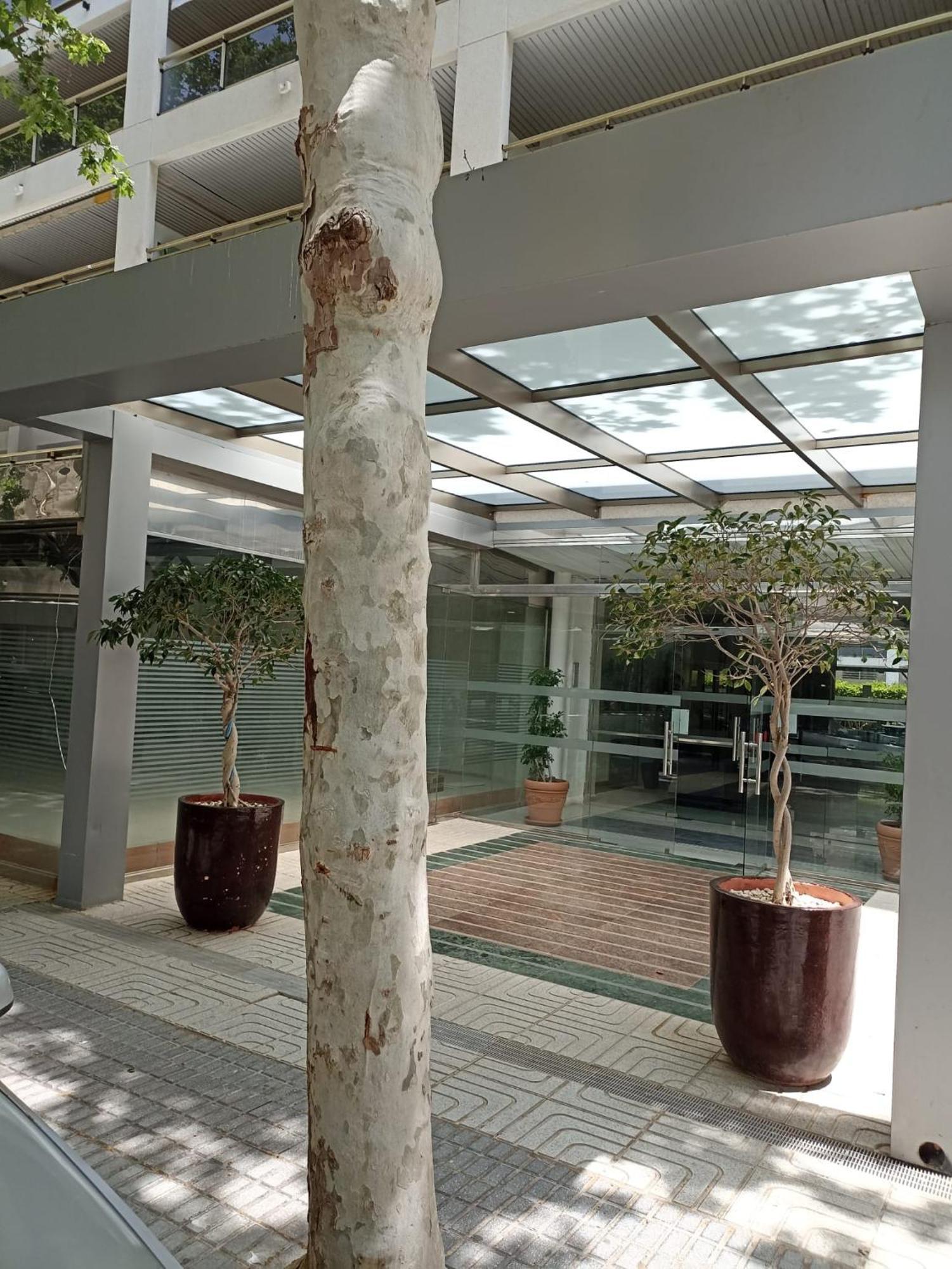 Michelangelo Apartment Salou Exterior photo